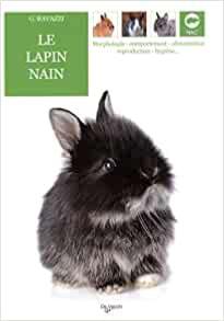 Livre "Le lapin nain"